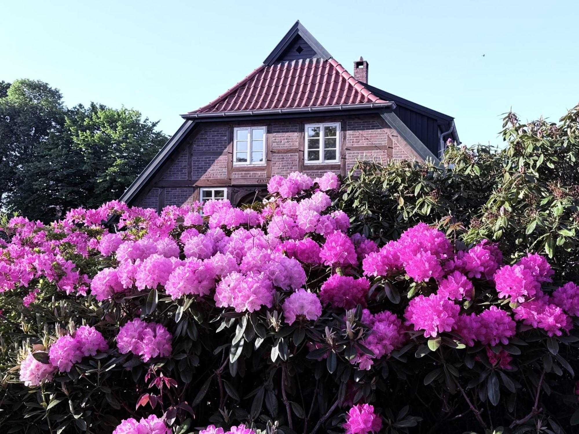 Ferienwohnung Christel Zwischenahn Bad Zwischenahn Exterior foto